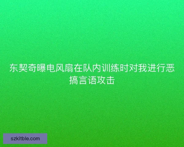 东契奇曝电风扇在队内训练时对我进行恶搞言语攻击